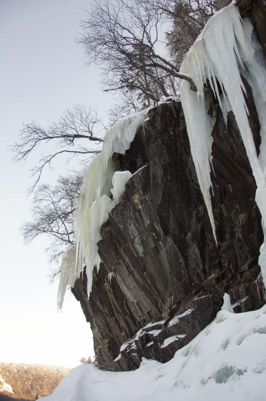 Viewing photos→2017→2017-02-11→51