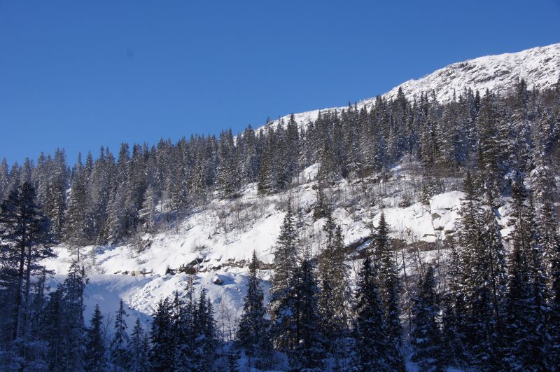 Viewing photos→2017→2017-02-11→68