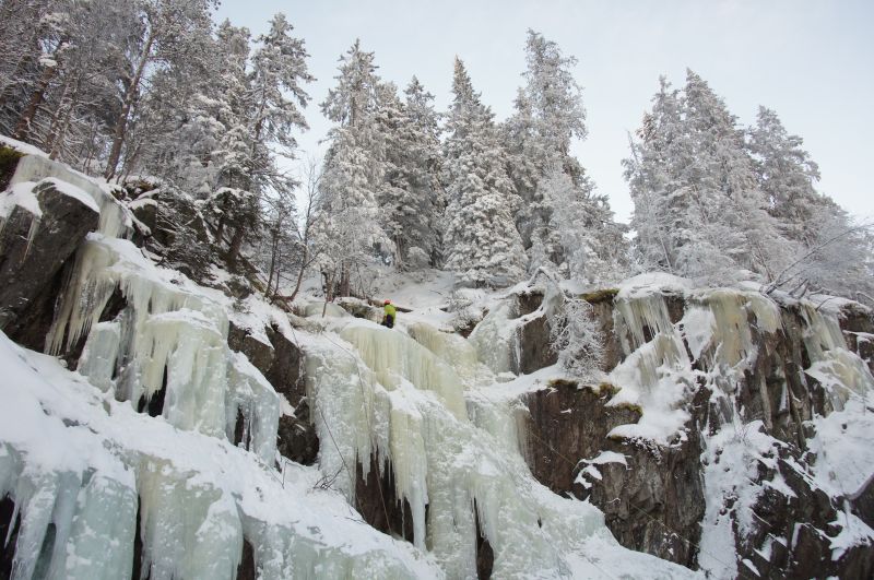 Viewing photos→2017→2017-02-11→78