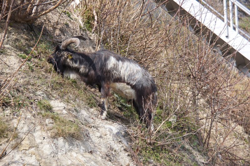 Viewing photos→2017→2017-04-16→05