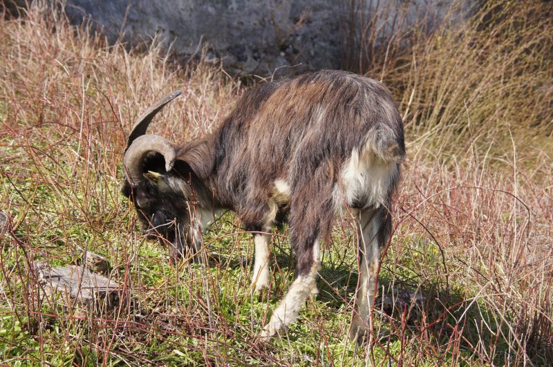 Viewing photos→2017→2017-04-16→14