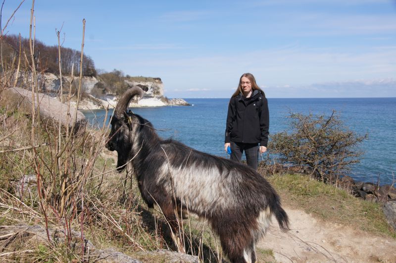 Viewing photos→2017→2017-04-16→19