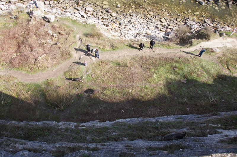 Viewing photos→2017→2017-04-16→32