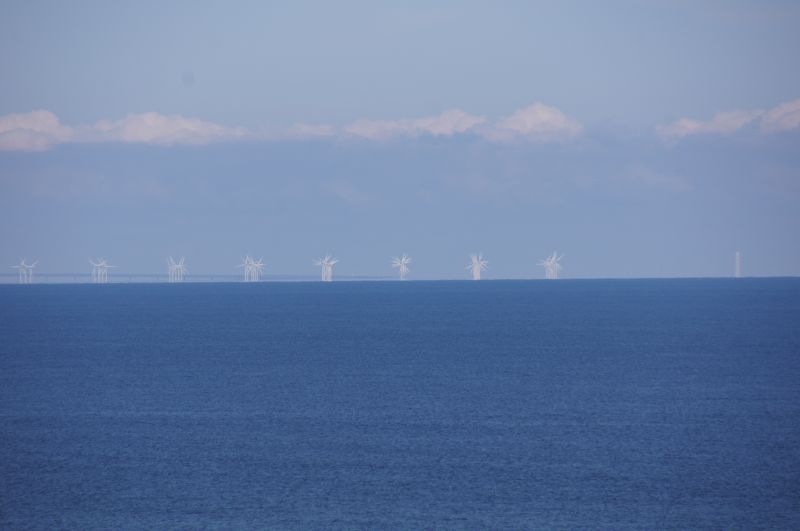 Viewing photos→2017→2017-04-16→36