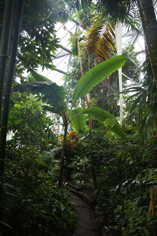 Viewing photos→2017→2017-05-12→08