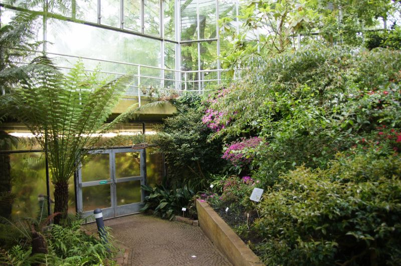 Viewing photos→2017→2017-05-12→09