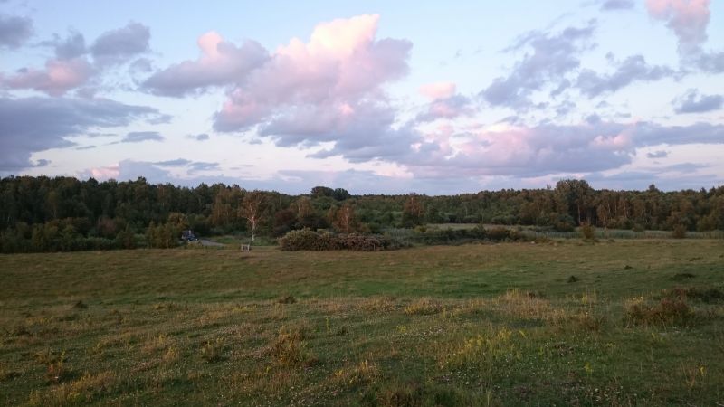 Viewing photos→2017→2017-07-17→08