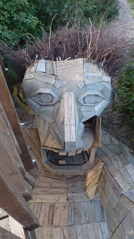 Viewing photos→2017→2017-09-16→08