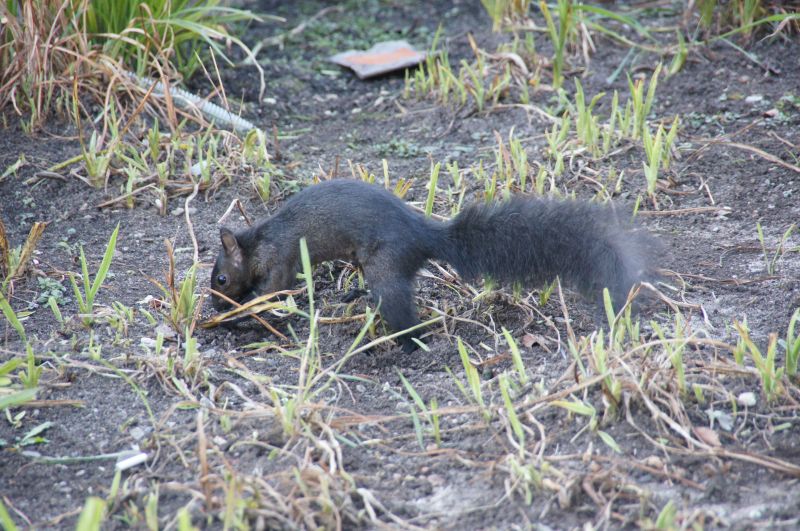 Viewing photos→2017→2017-09-30→29