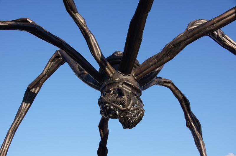 Viewing photos→2017→2017-09-30→41