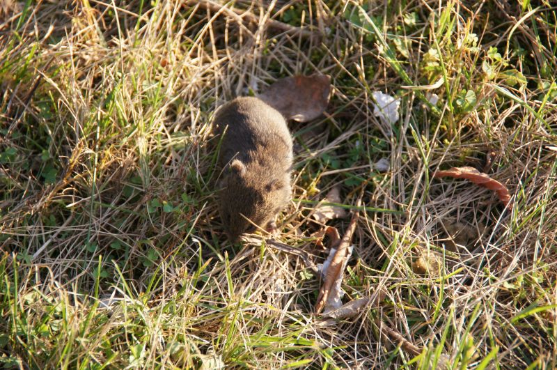 Viewing photos→2017→2017-09-30→45