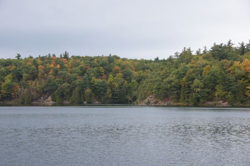 Viewing photos→2017→2017-10-04→05