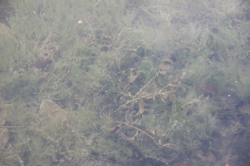 Viewing photos→2017→2017-10-04→06