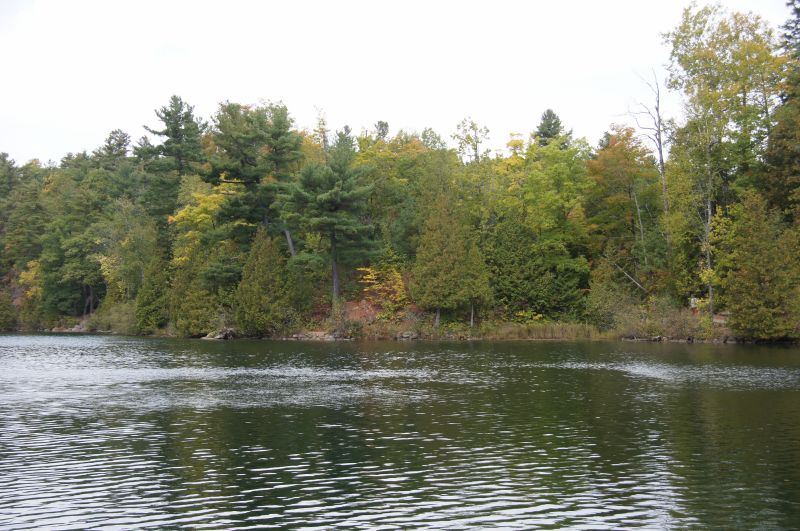 Viewing photos→2017→2017-10-04→08