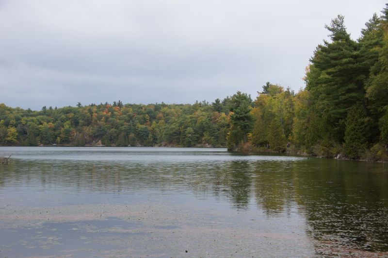 Viewing photos→2017→2017-10-04→11