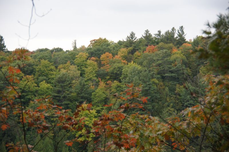 Viewing photos→2017→2017-10-04→23