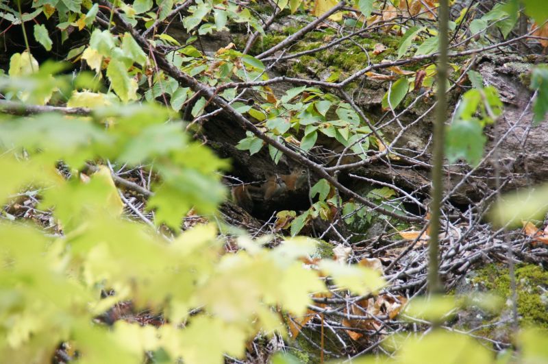 Viewing photos→2017→2017-10-04→25