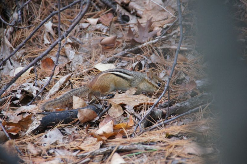 Viewing photos→2017→2017-10-04→28