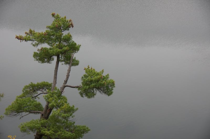 Viewing photos→2017→2017-10-04→32