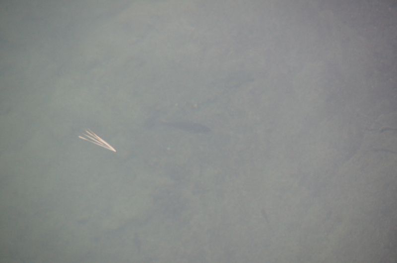 Viewing photos→2017→2017-10-04→36