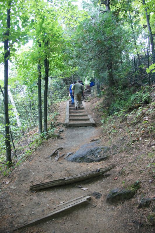 Viewing photos→2017→2017-10-04→43