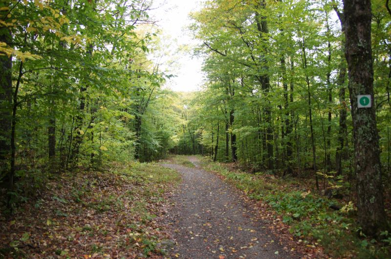 Viewing photos→2017→2017-10-04→49