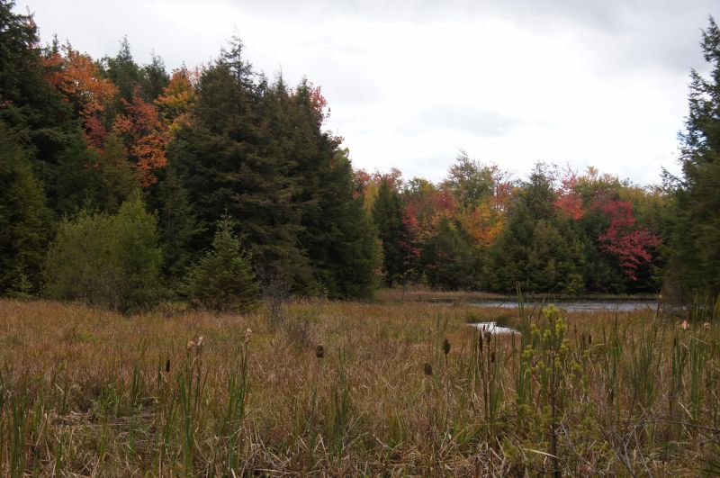 Viewing photos→2017→2017-10-04→64