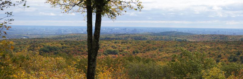 Viewing photos→2017→2017-10-04→69-70