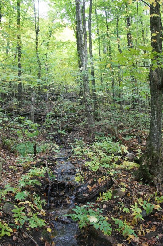 Viewing photos→2017→2017-10-04→77