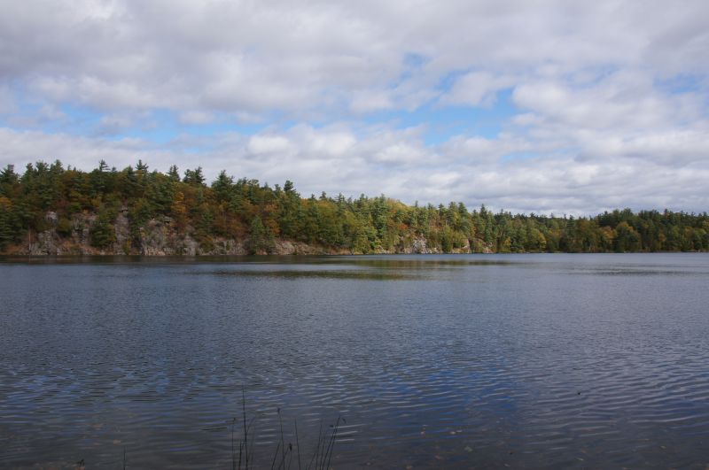 Viewing photos→2017→2017-10-04→80