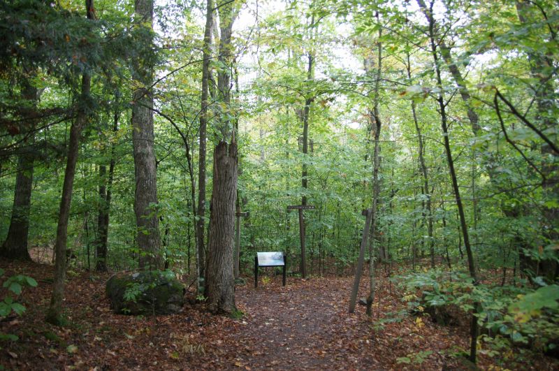 Viewing photos→2017→2017-10-07→003