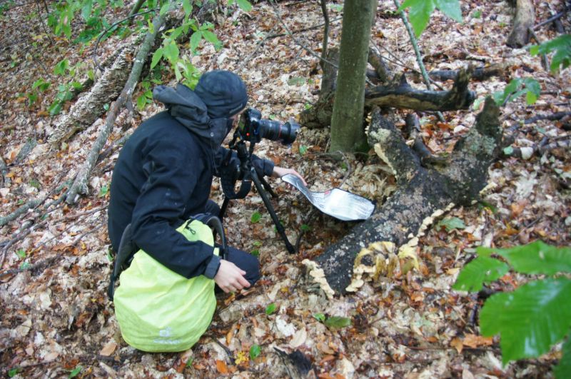 Viewing photos→2017→2017-10-07→010