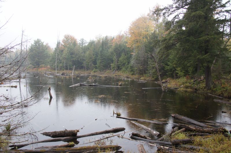 Viewing photos→2017→2017-10-07→015