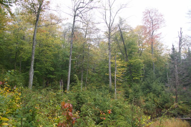 Viewing photos→2017→2017-10-07→016