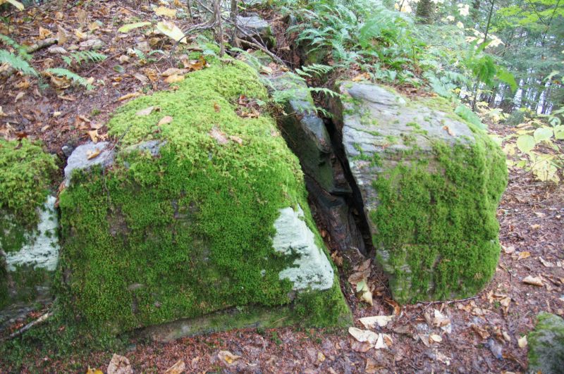 Viewing photos→2017→2017-10-07→032