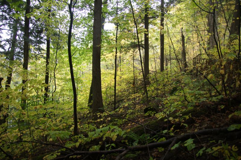 Viewing photos→2017→2017-10-07→040