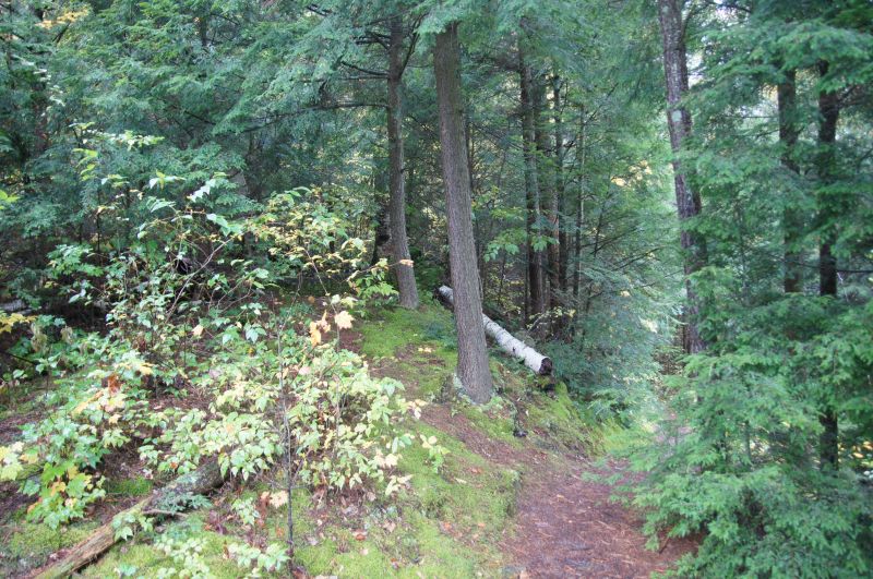 Viewing photos→2017→2017-10-07→045