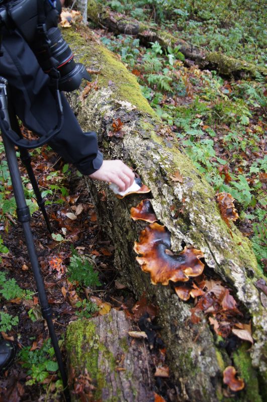 Viewing photos→2017→2017-10-07→056