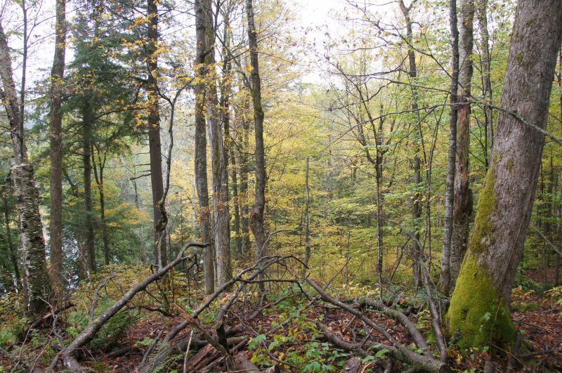 Viewing photos→2017→2017-10-07→058