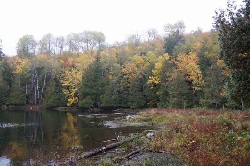 Viewing photos→2017→2017-10-07→069