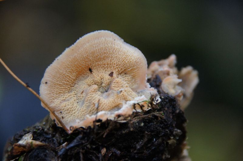 Viewing photos→2017→2017-10-07→073