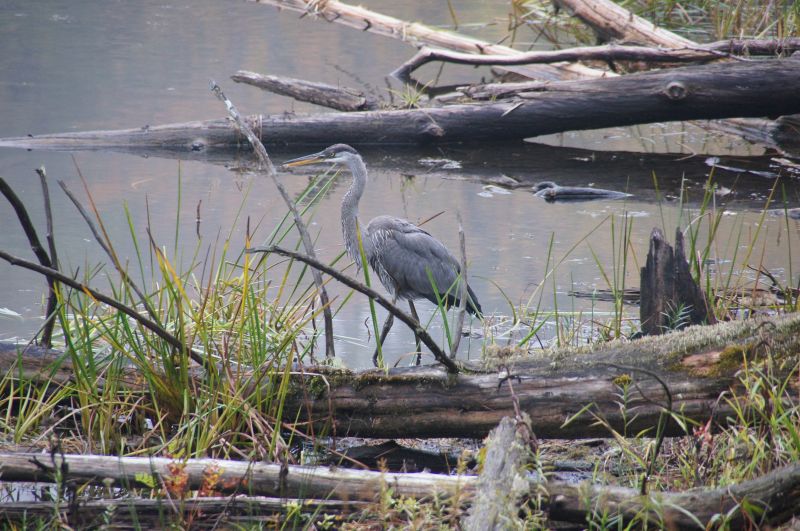 Viewing photos→2017→2017-10-07→087