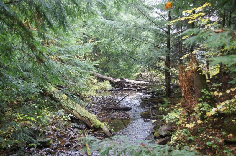 Viewing photos→2017→2017-10-07→092