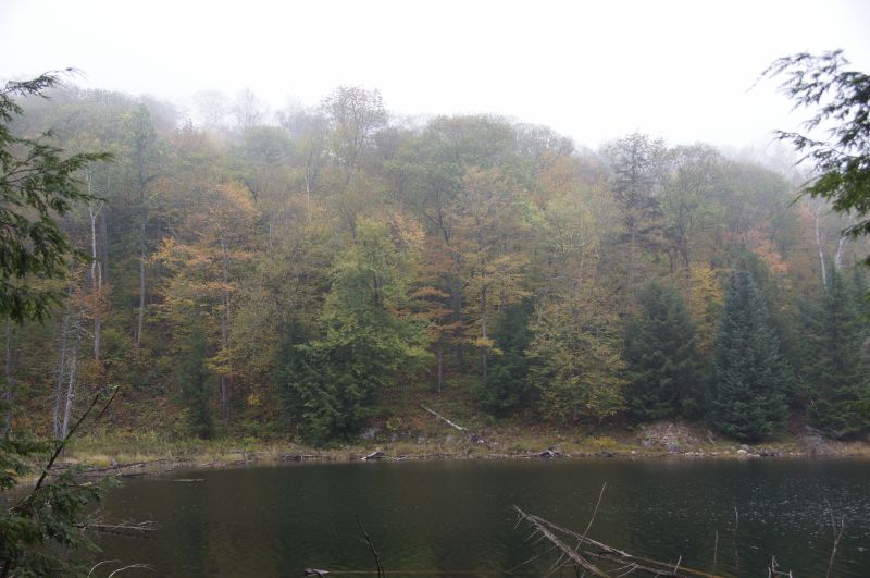 Viewing photos→2017→2017-10-07→098