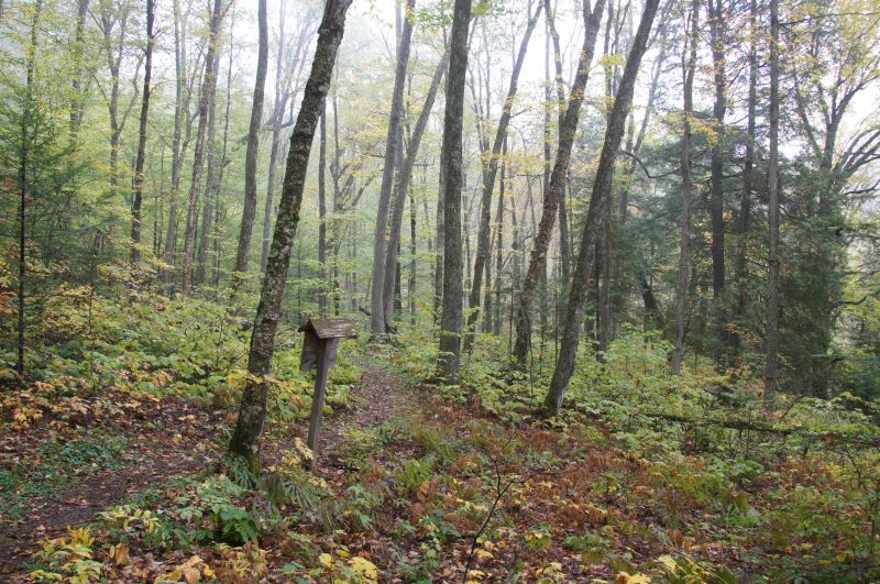 Viewing photos→2017→2017-10-07→105