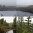 2017-10-09<br/>
<b>Parc national de la Mauricie, Québec, Canada</b>
