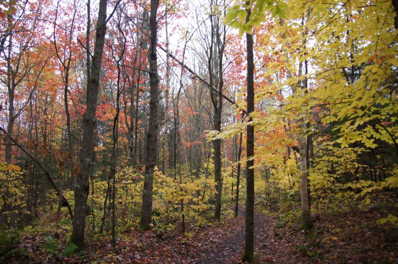 Viewing photos→2017→2017-10-09→04