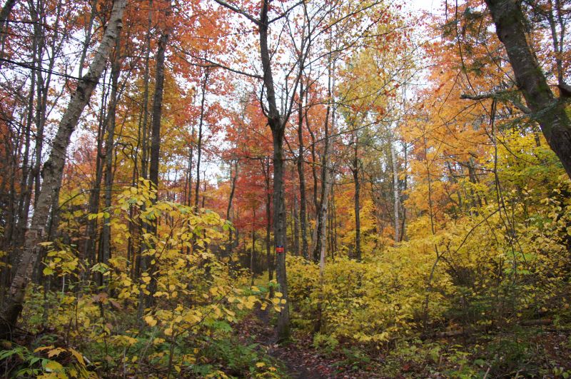 Viewing photos→2017→2017-10-09→06