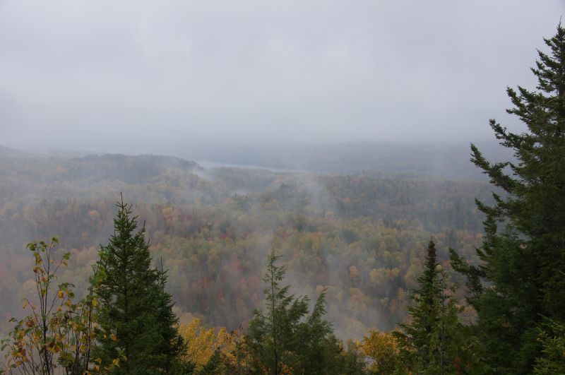 Viewing photos→2017→2017-10-09→08