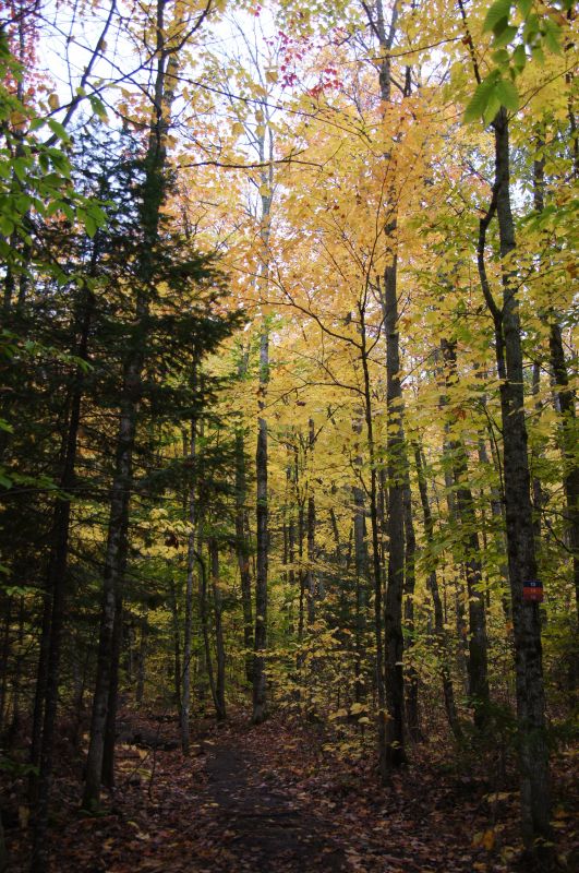 Viewing photos→2017→2017-10-09→10